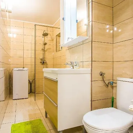 Διαμέρισμα City Center Bulevard Unirii Spacious