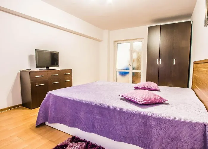 City Center Bulevard Unirii Spacious 公寓 *