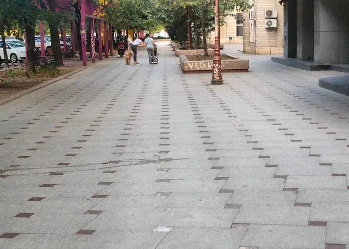 City Center Bulevard Unirii Spacious 公寓 *